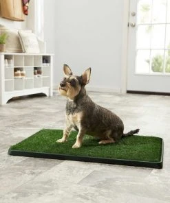Frisco||PetSafe Frisco Indoor Grass Potty, 30 x 20 in + PetSafe Pet Loo Wee Care Enzyme Cleaner -Frisco Sales 2024 303462 PT3. SY630 V1623049351