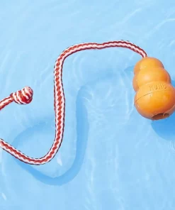 Frisco||KONG Frisco Shark Life Jacket + KONG Aqua Dog Toy, Large -Frisco Sales 2024 303580 PT7. SY630 V1623056246