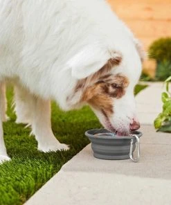Frisco Silicone Collapsible Travel Bowl with Carabiner, Gray, 1.5 Cups + Pet Toy & Bowl Cleaning Wipes -Frisco Sales 2024 303616 PT4. SY630 V1623056860
