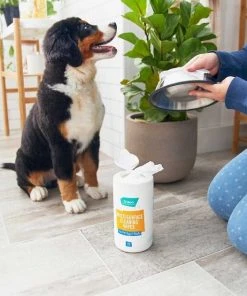 Frisco Stainless Steel Bowl, 4.75-cup, 2 count + Pet Toy & Bowl Cleaning Wipes 15 Frisco Stainless Steel Bowl, 4.75-cup, 2 count + Pet Toy & Bowl Cleaning Wipes -Frisco Sales 2024 303622 PT6. SY630 V1623041554