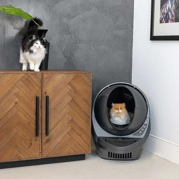 Litter-Robot||Frisco Litter-Robot WiFi Enabled Automatic Self-Cleaning Cat Litter Box, Grey + Frisco Litter Box Cleaning Wipes 7 Litter-Robot||Frisco Litter-Robot WiFi Enabled Automatic Self-Cleaning Cat Litter Box, Grey + Frisco Litter Box Cleaning Wipes - Image 5