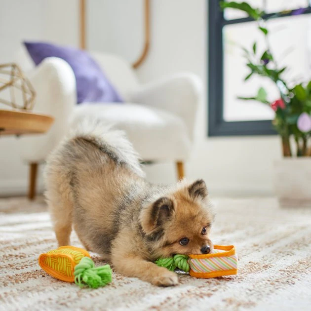 Frisco Easter Carrot Plush Squeaky Dog Toy, 2 pack 5 Frisco Easter Carrot Plush Squeaky Dog Toy, 2 pack - Image 3