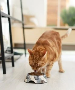 Frisco Animal Design Stainless Steel Dog & Cat Bowl -Frisco Sales 2024 311959 PT3. SY630 V1642542458