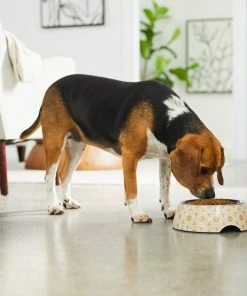 Frisco Circle Design Stainless Steel Dog & Cat Bowl 12 Frisco Circle Design Stainless Steel Dog & Cat Bowl -Frisco Sales 2024 311967 PT2. SY630 V1642542871