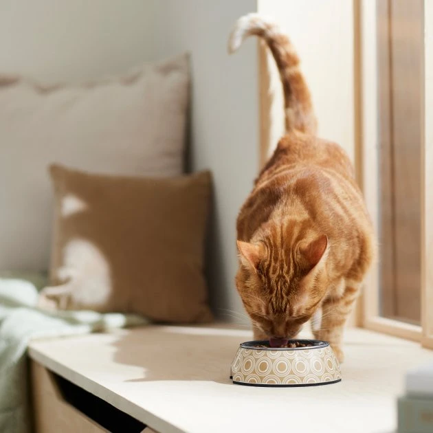 Frisco Circle Design Stainless Steel Dog & Cat Bowl 6 Frisco Circle Design Stainless Steel Dog & Cat Bowl - Image 4