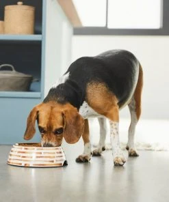 Frisco Copper Print Design Stainless Steel Dog & Cat Bowl 12 Frisco Copper Print Design Stainless Steel Dog & Cat Bowl -Frisco Sales 2024 311975 PT2. SY630 V1642542895