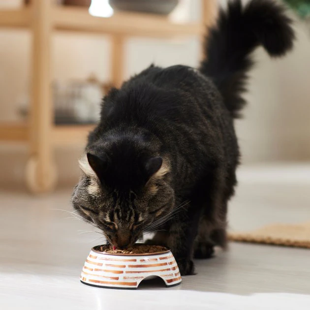 Frisco Copper Print Design Stainless Steel Dog & Cat Bowl 6 Frisco Copper Print Design Stainless Steel Dog & Cat Bowl - Image 4