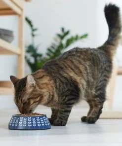 Frisco Leaf Design Stainless Steel Dog & Cat Bowl, Blue -Frisco Sales 2024 311979 PT3. SY630 V1642542946