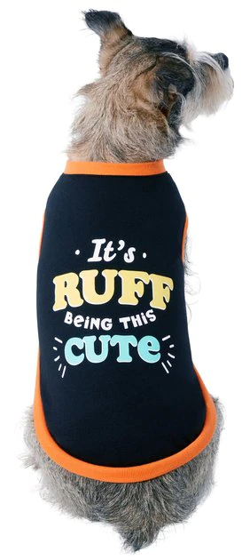 Frisco It's Ruff Being This Cute Dog & Cat T-Shirt 3 Frisco It's Ruff Being This Cute Dog & Cat T-Shirt