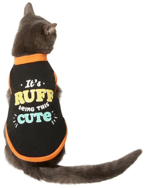 Frisco It's Ruff Being This Cute Dog & Cat T-Shirt 5 Frisco It's Ruff Being This Cute Dog & Cat T-Shirt - Image 3