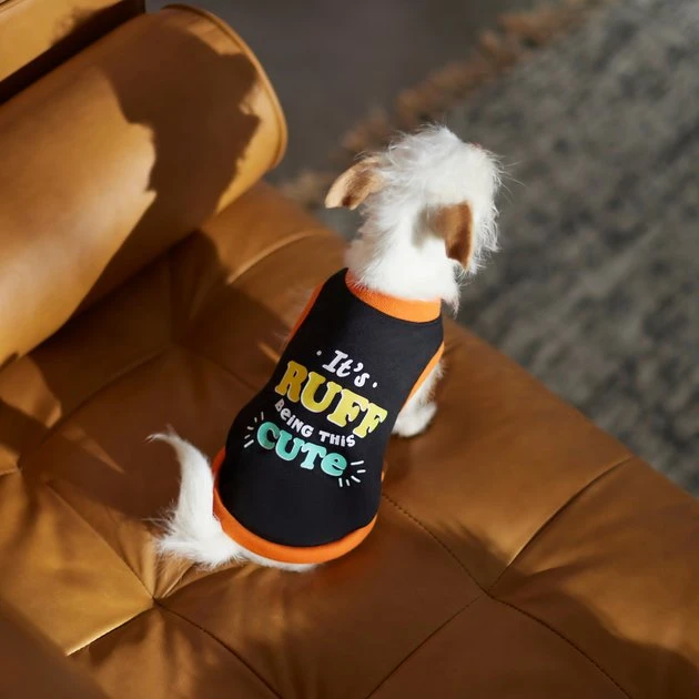 Frisco It's Ruff Being This Cute Dog & Cat T-Shirt 8 Frisco It's Ruff Being This Cute Dog & Cat T-Shirt - Image 6