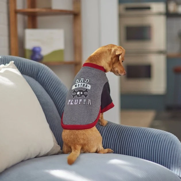 Frisco Bad Motha Fluffa Dog & Cat T-Shirt 8 Frisco Bad Motha Fluffa Dog & Cat T-Shirt - Image 6