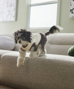 Frisco Problem Child Dog & Cat T-Shirt -Frisco Sales 2024 312064 PT8. SY630 V1644427134