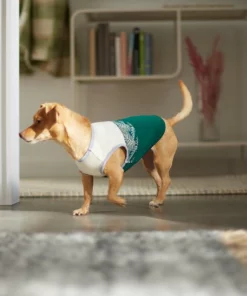 Frisco Tropical Palm Dog & Cat T-Shirt 13 Frisco Tropical Palm Dog & Cat T-Shirt -Frisco Sales 2024 312072 PT8. SY630 V1644425897