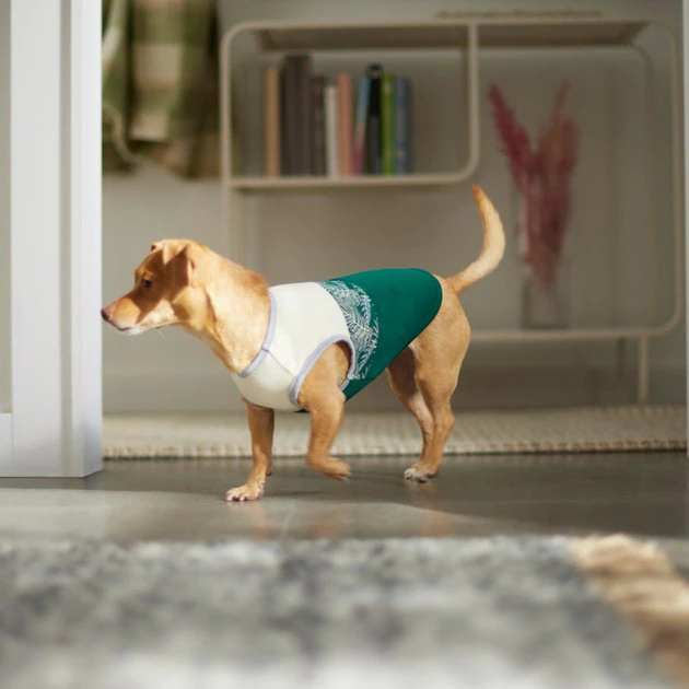 Frisco Tropical Palm Dog & Cat T-Shirt 8 Frisco Tropical Palm Dog & Cat T-Shirt - Image 6