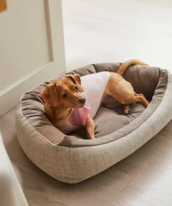 Frisco Mama's Girl Dog & Cat T-Shirt -Frisco Sales 2024 312096 PT8. SY630 V1644427093