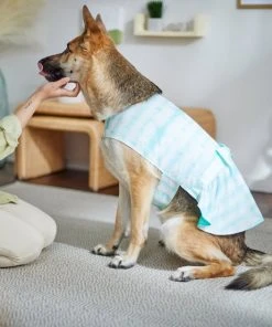 Frisco Green Tie Dye Dog & Cat Dress -Frisco Sales 2024 312104 PT8. SY630 V1644424641