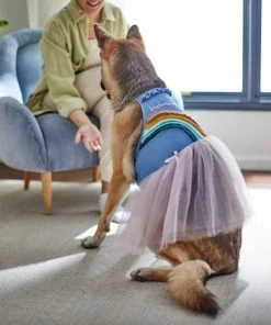 Frisco Rainbow Denim Dog & Cat Dress -Frisco Sales 2024 312144 PT8. SY630 V1644527534