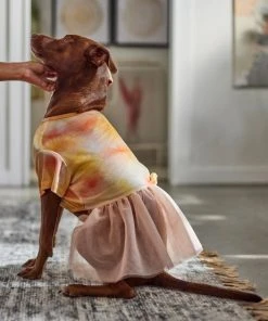 Frisco Tie Dye Pink Tutu Dog & Cat Dress 13 Frisco Tie Dye Pink Tutu Dog & Cat Dress -Frisco Sales 2024 312152 PT8. SY630 V1644528801