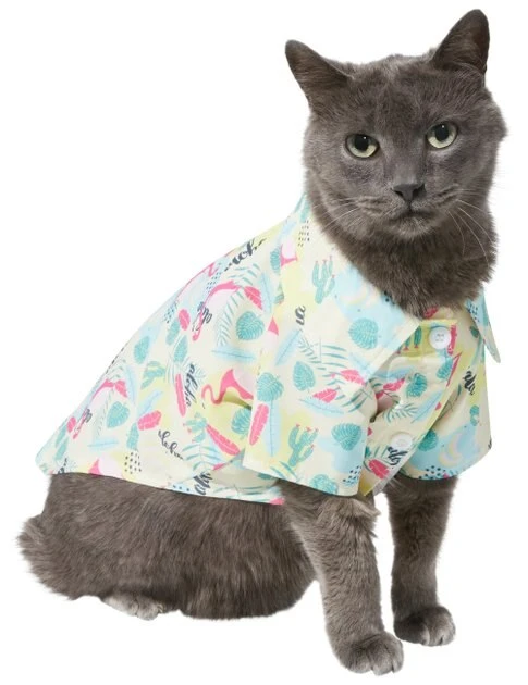 Frisco Flamingo Camp Dog & Cat Shirt 5 Frisco Flamingo Camp Dog & Cat Shirt - Image 3