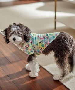 Frisco Flamingo Camp Dog & Cat Shirt 17 Frisco Flamingo Camp Dog & Cat Shirt -Frisco Sales 2024 312176 PT8. SY630 V1644527708