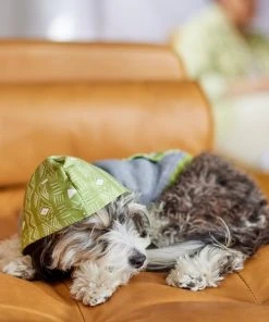 Frisco Green Southwest Dog & Cat Hoodie -Frisco Sales 2024 312248 PT8. SY630 V1644883113