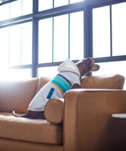 Frisco Striped Grey Dog & Cat Hoodie 15 Frisco Striped Grey Dog & Cat Hoodie -Frisco Sales 2024 312264 PT8. SY630 V1644880135