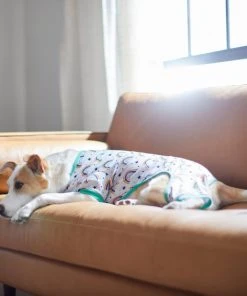 Frisco Rainbow Dog & Cat PJs 13 Frisco Rainbow Dog & Cat PJs -Frisco Sales 2024 312280 PT8. SY630 V1644886098