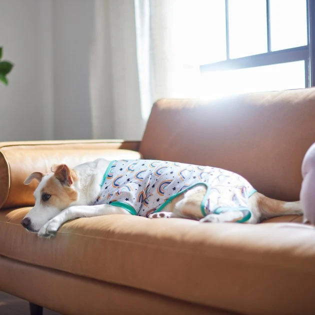 Frisco Rainbow Dog & Cat PJs 8 Frisco Rainbow Dog & Cat PJs - Image 6