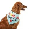 Frisco Living My Best Life Dog & Cat Bandana -Frisco Sales 2024 312288 MAIN. SY630 V1644881351
