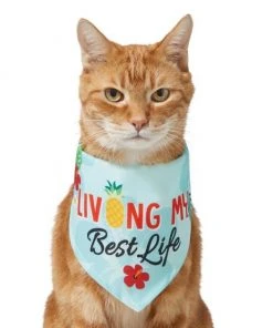 Frisco Living My Best Life Dog & Cat Bandana -Frisco Sales 2024 312288 PT2. SY630 V1644884916