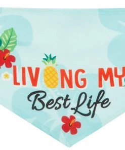 Frisco Living My Best Life Dog & Cat Bandana -Frisco Sales 2024 312288 PT4. SY630 V1644882738
