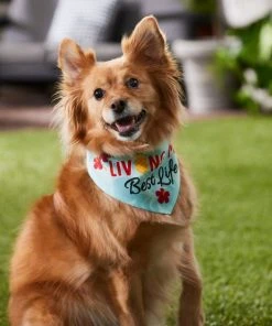 Frisco Living My Best Life Dog & Cat Bandana -Frisco Sales 2024 312288 PT8. SY630 V1644885219