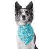 Frisco Spring Floral Dog & Cat Bandana -Frisco Sales 2024 312294 MAIN. SY630 V1644879397