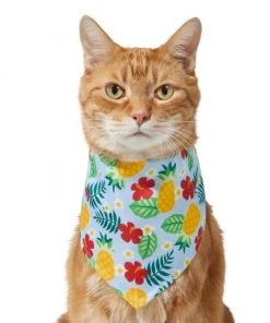 Frisco Hawaiian Pineapple Dog & Cat Bandana -Frisco Sales 2024 312300 PT2. SY630 V1644878643