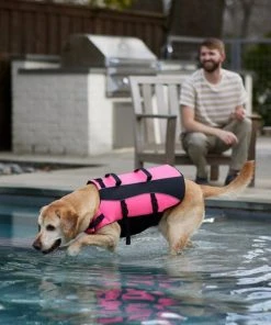 Frisco Ripstop Dog Life Jacket, Pink 17 Frisco Ripstop Dog Life Jacket, Pink -Frisco Sales 2024 312379 PT8. SY630 V1649276826