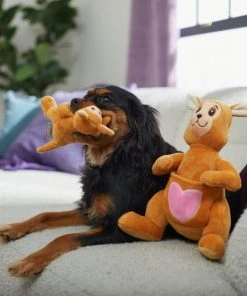 Frisco Kangaroo & Joey Plush Squeaky Dog Toy, 2 count 9 Frisco Kangaroo & Joey Plush Squeaky Dog Toy, 2 count -Frisco Sales 2024 312899 PT3. SY630 V1638987688