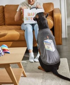 Frisco Birthday Pup Dog & Cat T-Shirt -Frisco Sales 2024 315075 PT8. SY630 V1646442759