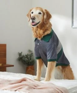 Frisco Green Striped Polo Dog & Cat Shirt -Frisco Sales 2024 315091 PT8. SY630 V1646434389