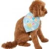 Frisco Birthday Pup Dog & Cat Bandana -Frisco Sales 2024 315130 MAIN. SY630 V1646437330