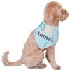 Frisco Party Animal Dog & Cat Bandana -Frisco Sales 2024 315136 MAIN. SY630 V1646438241