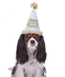 Frisco It's a Party Animal Dog & Cat Hat -Frisco Sales 2024 315139 PT2. SY630 V1646439434