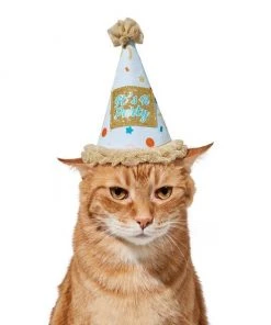 Frisco It's a Party Animal Dog & Cat Hat -Frisco Sales 2024 315139 PT3. SY630 V1646434023