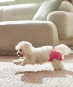 Frisco Washable Female Diaper, Flamingo, 3pk 10 Frisco Washable Female Diaper, Flamingo, 3pk -Frisco Sales 2024 315700 PT3. SY630 V1644883551