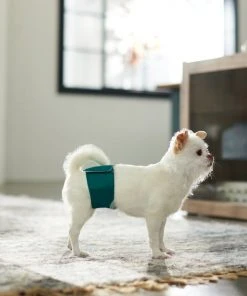 Frisco Washable Male Wrap, Whales, 3pk 10 Frisco Washable Male Wrap, Whales, 3pk -Frisco Sales 2024 315706 PT3. SY630 V1644882254