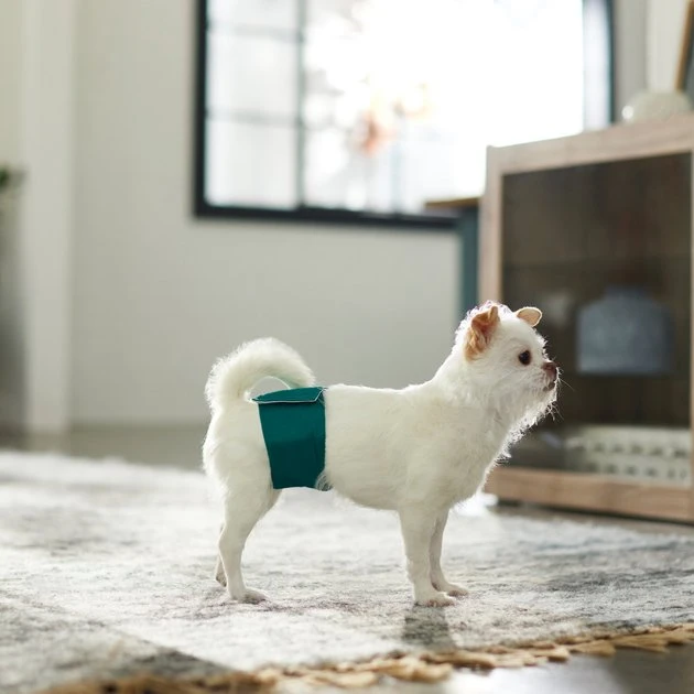 Frisco Washable Male Wrap, Whales, 3pk 6 Frisco Washable Male Wrap, Whales, 3pk - Image 4