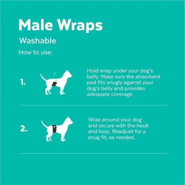 Frisco Washable Male Wrap, Whales, 3pk 7 Frisco Washable Male Wrap, Whales, 3pk - Image 5