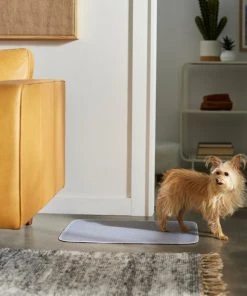 Frisco Washable Dog Potty Pads, 2pk, Unscented -Frisco Sales 2024 315712 PT3. SY630 V1644880410