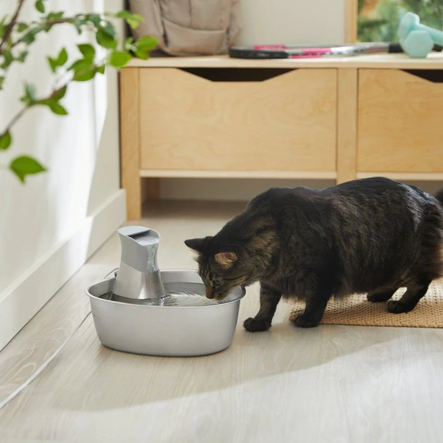 Frisco Stainless Steel Triangle Dog & Cat Fountain, 1 Gallon 3 Frisco Stainless Steel Triangle Dog & Cat Fountain, 1 Gallon