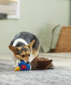 Frisco Fur Really Real Pheasant Plush Squeaky Dog Toy -Frisco Sales 2024 316931 PT2. SY630 V1641400893